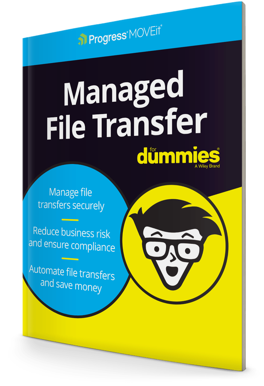 Vrouw Beringstraat Wat mensen betreft Gratis eBook: Managed File Transfer For Dummies - Ipswitch