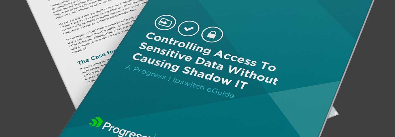 Controlling-Access-To-Sensitive-Data-Without-Causing-Shadow-IT