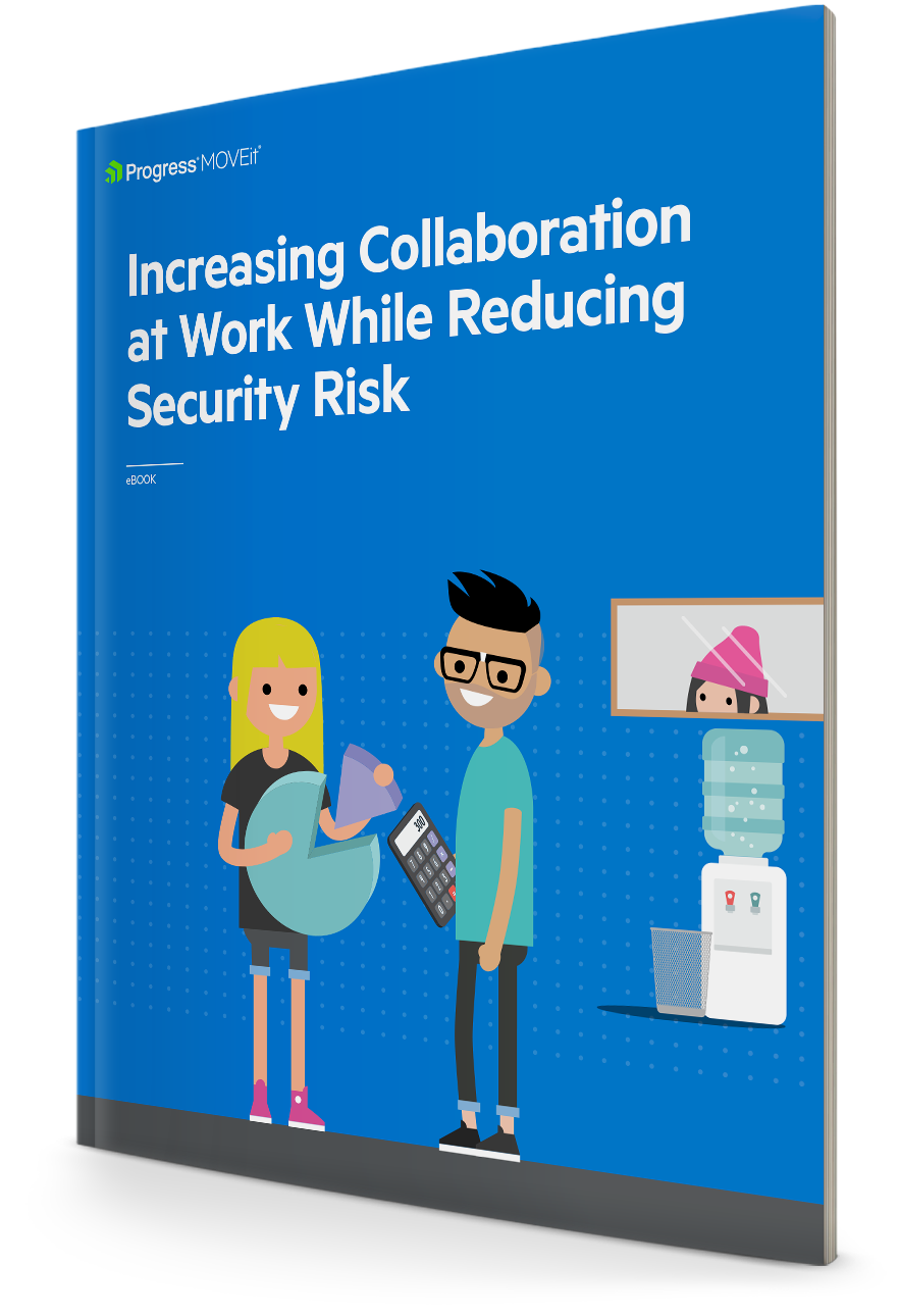 Increasing Collaboration While Reducing Security Risk eBook