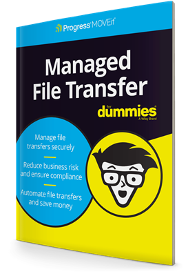 Managed File Transfer for Dummies eBook